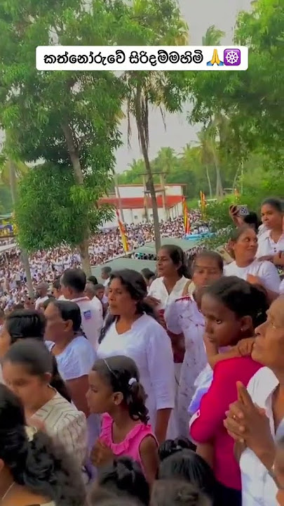 Download lagu තෙරුවන් සරණයි ☸️🙏 #13million #love #8millionviews #lovemusic #unfrezzmyaccount #lovesong #song #roma