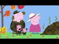 Teddy Needs a Doctor 🐷 Peppa Pig Official Channel Family Kids Cartoons
