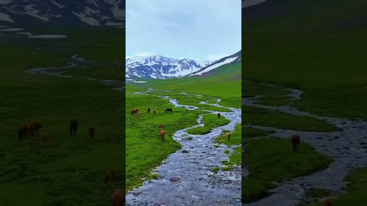 जीवनको पीडा बोकेको गजल | Sad Nepali Gazal | Heart Touching Poetry in Nepali