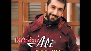 BRİNDAR ALİ - ESMER Resimi