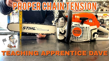 Proper Chainsaw Chain Adjustment - Teaching Apprentice Dave - Video