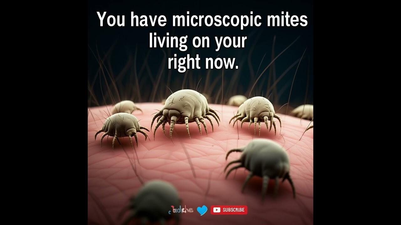 You Have Mites On Your Face RIGHT NOW! 😱
