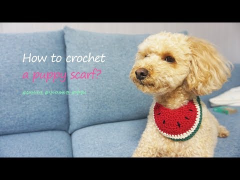 강아지스카프뜨기, 강아지스카프만들기, How to crochet dog scarf, crochet dog scarf