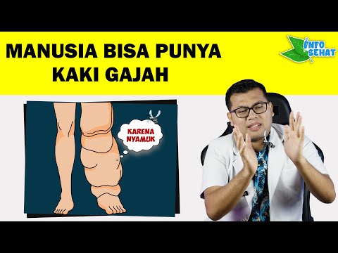 Video: Apakah ada obat untuk penyakit kaki gajah?