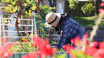 International Composting Awareness Week