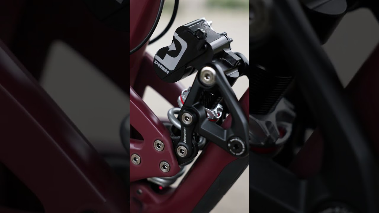 Reigning Blood Evil Offering 🩸 x Burgtec Kash Bronze 💰 