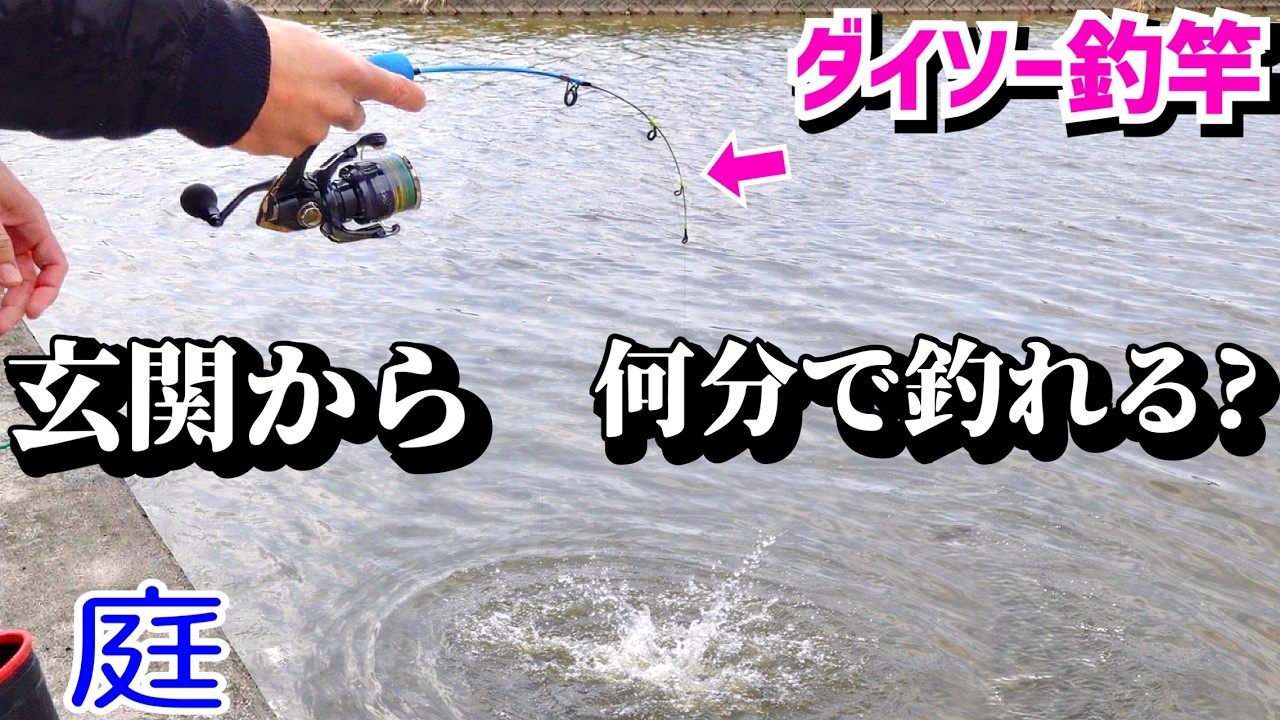 庭で釣りできる家は玄関出て何分で釣れるかタイム測ってみた。