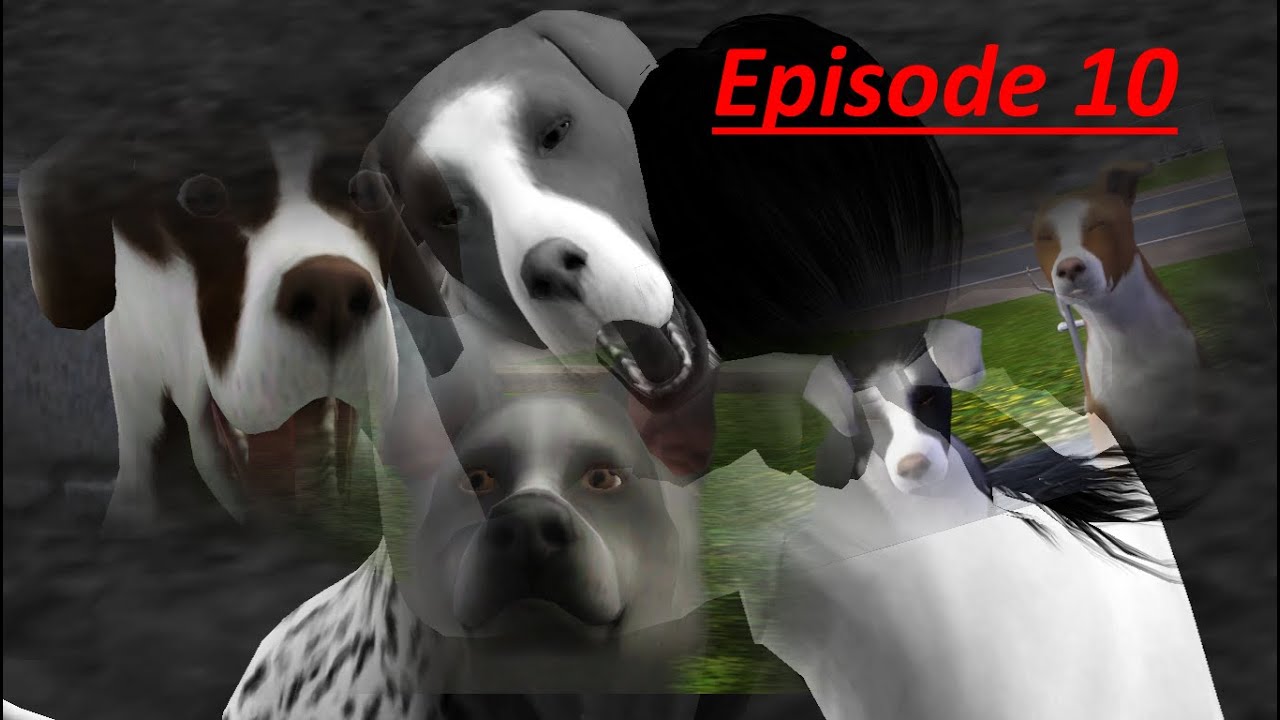 life facebook Life of a Dog - Part 10 (Sims 3 dog story)