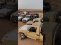 بدو مطروح بدو سيناء بدو مصر شاصات بدو مصر
