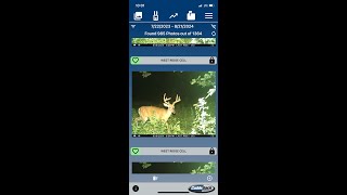 Cuddeback App Walkthrough