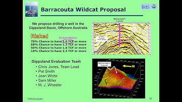 Management Review - Petroleum Exploration: A Field Example