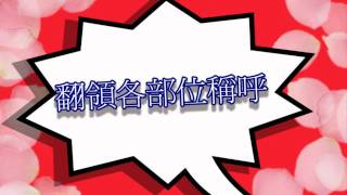 collar(活動式小翻領版型)