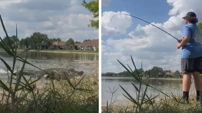 Alligator Snaps Up Fish Caught By 15 Year Old
