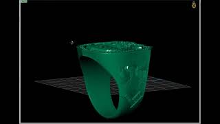 Custom Police Badge Signet Ring