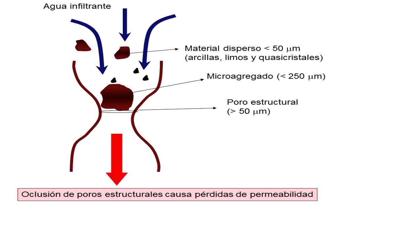 Recuperación de suelos salinos.  Ing. Agr. (PhD) Miguel A. Taboada.