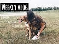 Weekly Vlog // Makena Lautner