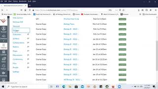 Exporting From Examview to Canvas