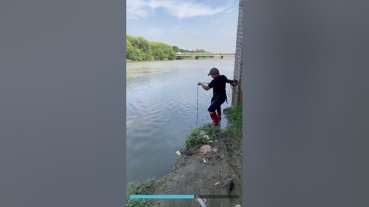 Terrific under bridge fishing net catching so much fish netsfishing 