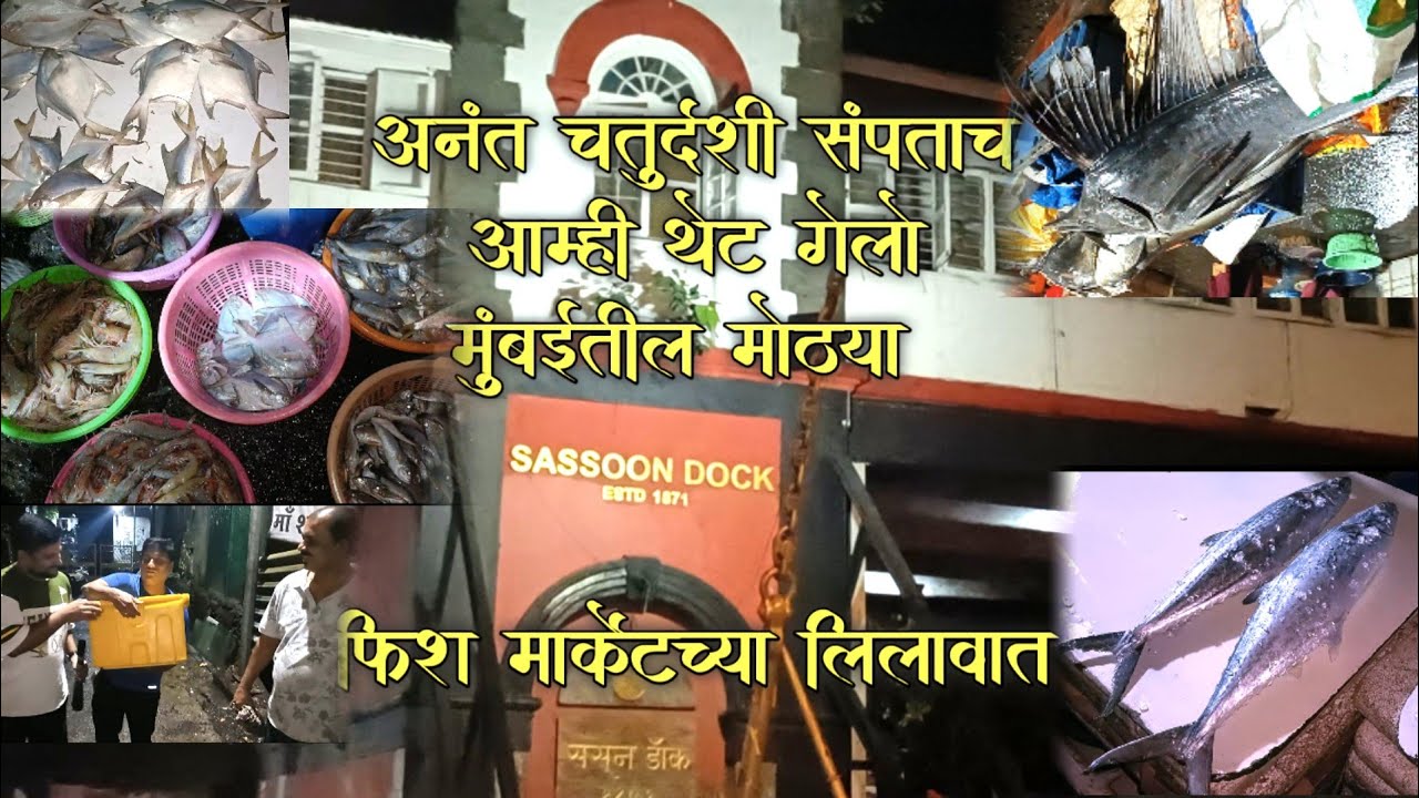 🚩अनंत चतुर्दशी संपताच आम्ही थेट गेलो मुंबईतील मासळी लिलावात | sassoon dock fish market latest video🐟