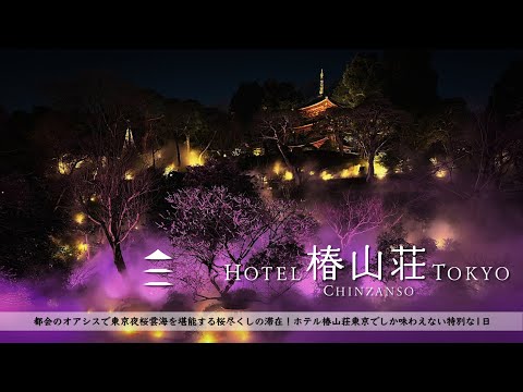 【ホテル宿泊記】東京旅行で春のお花見ステイ!ホテル椿山荘東京で大庭園の桜尽くしを堪能【夜桜雲海】
