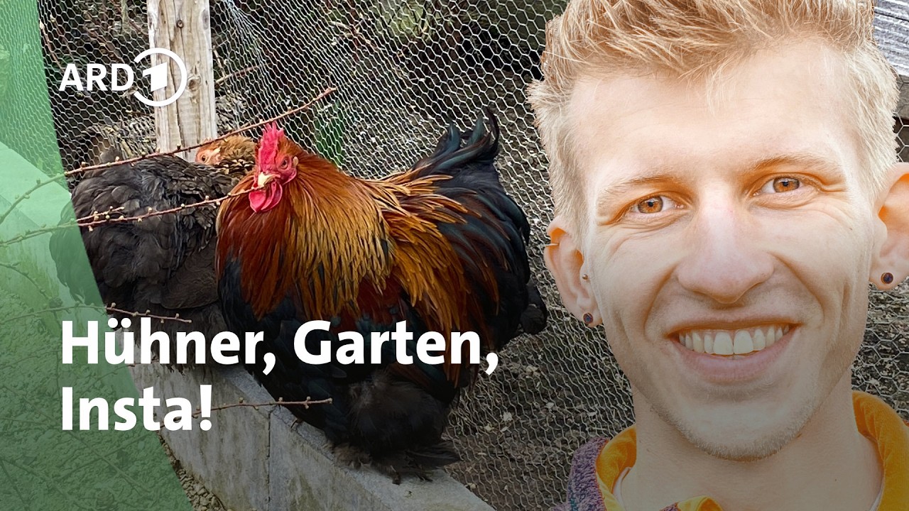 Hobby-Gemsegarten mit Influencer Tobi - vom Hhnermist zum Bio-Dnger  Querbeet