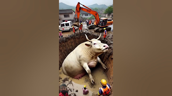#cow #animals #bull #funny #cartoon #music #instrumental #ringtone #beats #love