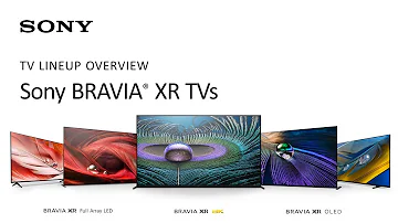 Che significa Sony Bravia?