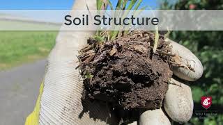 Soil Structure Demonstration: Aggregate Stability