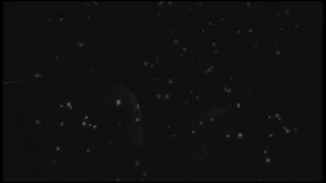 Lars Albert - Turn on the Dark (live session)