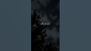 سورة الزمر|53-57|القارئ:#ماهر_المعيقلي #قران #quran #راحة_نفسية #قران_كريم #تلاوة_خاشعة