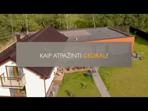 Video: Kaip Pačiam Atpažinti Ovuliaciją