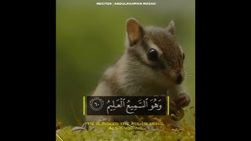 آيات تريح القلب والروح بصوت عبد الرحمن مسعد