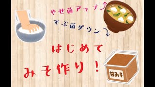 材料3つ❢　手作り簡単　みそ作り❢　やせ菌アップ⤴　でぶ菌ダウン⤵