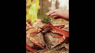 @BibekBhattarai1 Cooking Crispy Biggest Crab Meat Amazing Yummy Style