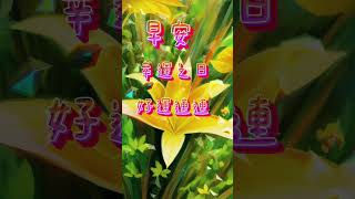 早安分享圖☕️☕️ 早安分享圖☕️☕️