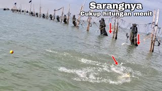 Edyan Reel Menjerit Kencang Gegara Kakap Putih Besar!! Mancing kakap putih-Barramundi