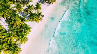 Summer Bossa Nova Ocean Breeze: Chill Jazz Music for Relaxing Beach Moments