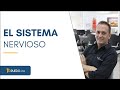 Significado del sistema nervioso