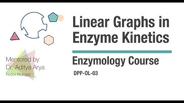 Linear Graphs in Enzyme Kinetics (Bilingual)