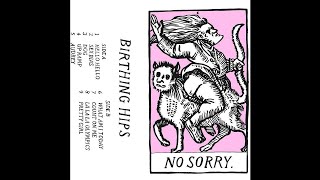 Birthing Hips - No Sorry (2016 // Full Album)