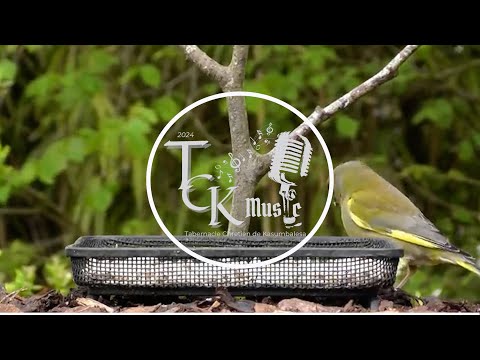 HUNIPENDA PIA Clip Officiel