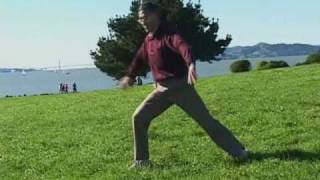Dr. Bingkun Hu Performs Walking Qigong