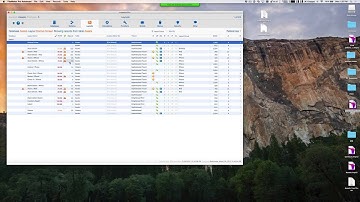 InspectorPro 5 - Dashboard and Navigation