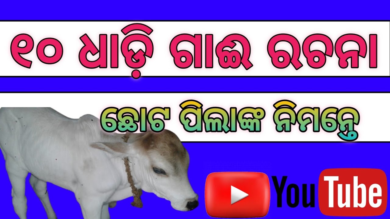 cow essay in odia 10 lines