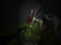 Minecraft aura skull edit(tas)