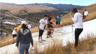 Painting the M