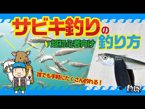 超初心者向け 堤防でアジ サバ イワシを爆釣するための サビキ釣り を2分で簡単に解説 ツリセツ Youtube