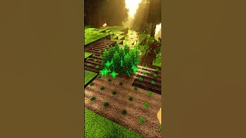 I replaced Minecraft’s textures with reality  Texture Pack: Realism Mats Shaders: Bliss Shaders  #Mi