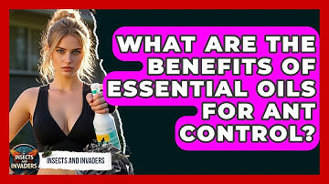 What Are The Benefits Of Essential Oils For Ant Control? - Insects and Invaders