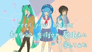 ごくせん1期主題歌 「Feel your breeze」by初音ミク 音街ウナ 夢眠ネム【歌ってみた】名言入り